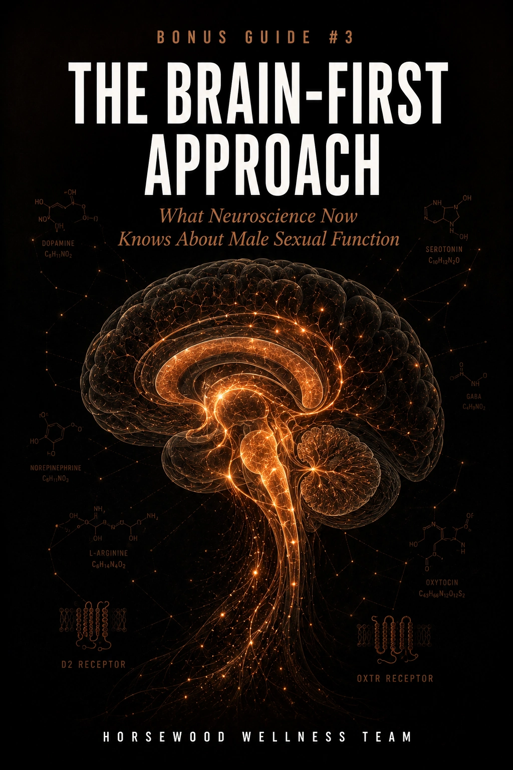 Horsewood bonus guide three cover: The Brain-First Approach